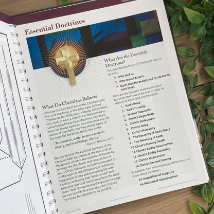 Book of Bible Charts, Maps, and Time Lines